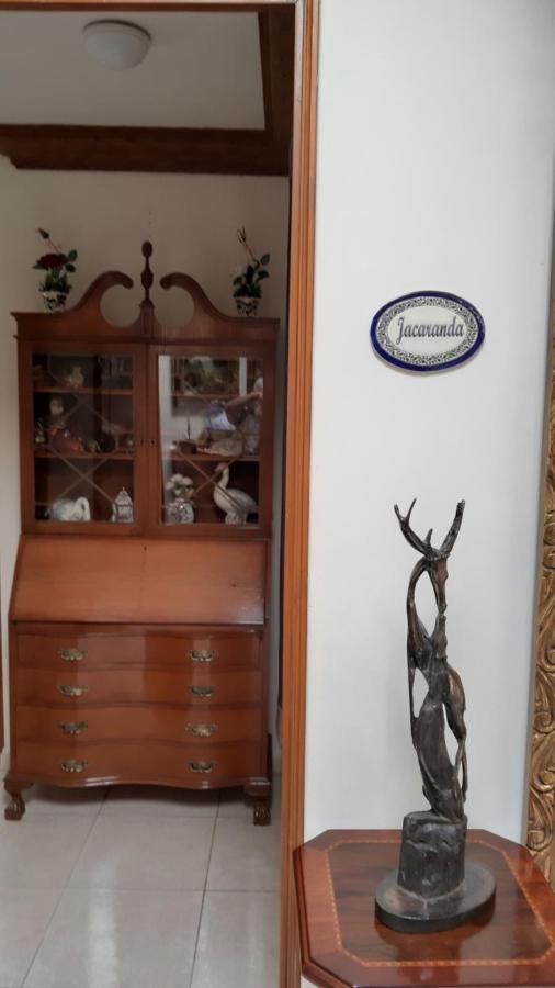 El Jardin Del Eden B&B Boutique Κουερναβάκα Εξωτερικό φωτογραφία