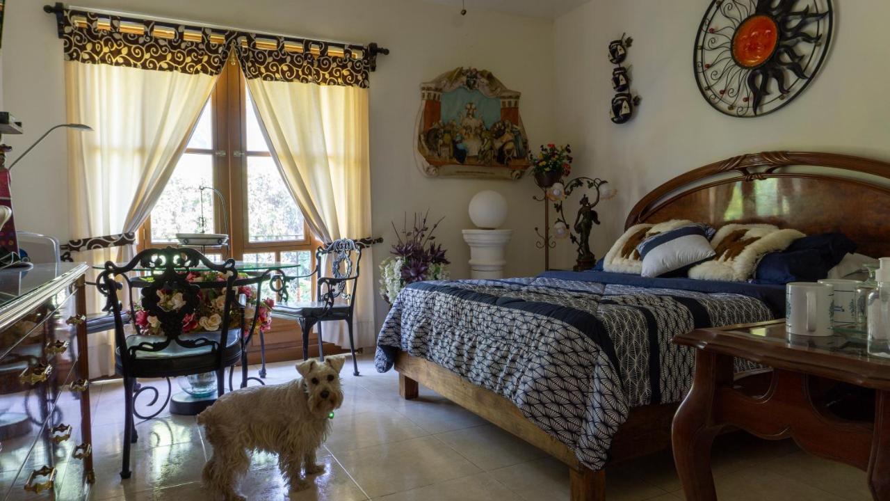 El Jardin Del Eden B&B Boutique Κουερναβάκα Εξωτερικό φωτογραφία