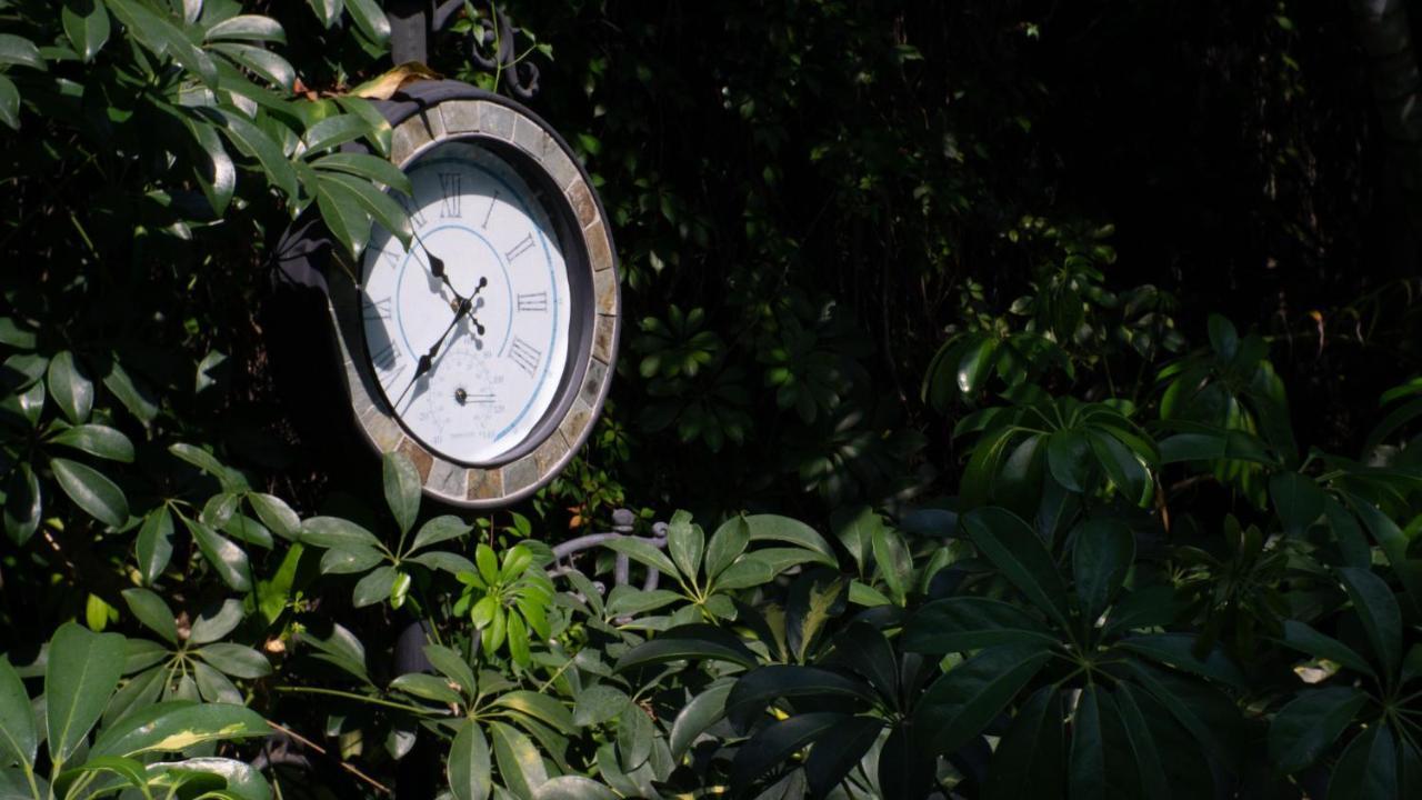 El Jardin Del Eden B&B Boutique Κουερναβάκα Εξωτερικό φωτογραφία