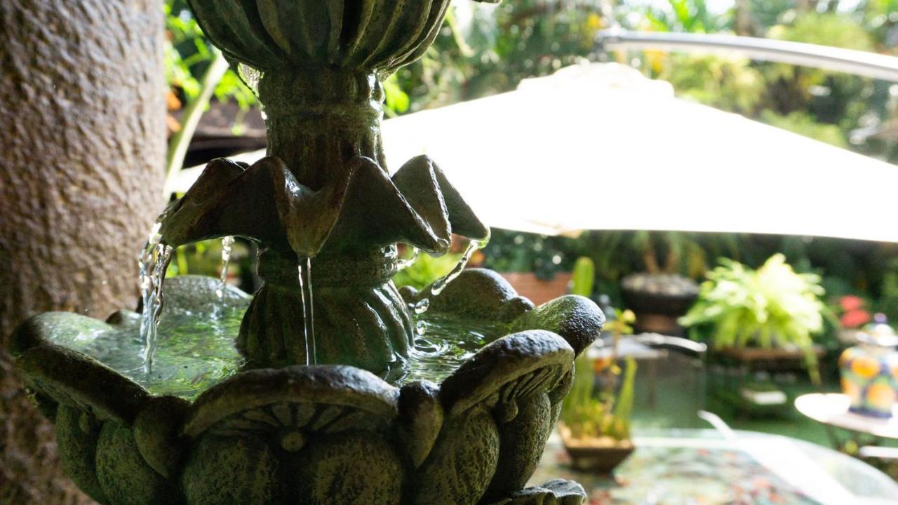 El Jardin Del Eden B&B Boutique Κουερναβάκα Εξωτερικό φωτογραφία