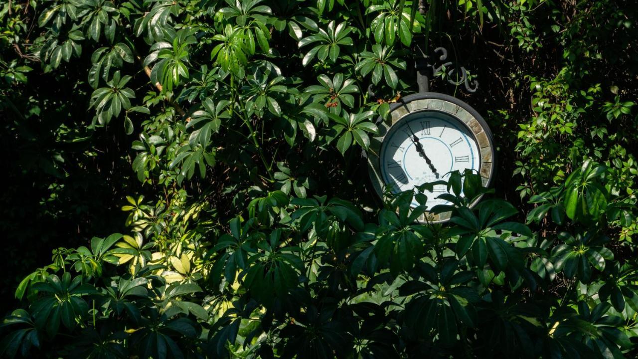 El Jardin Del Eden B&B Boutique Κουερναβάκα Εξωτερικό φωτογραφία