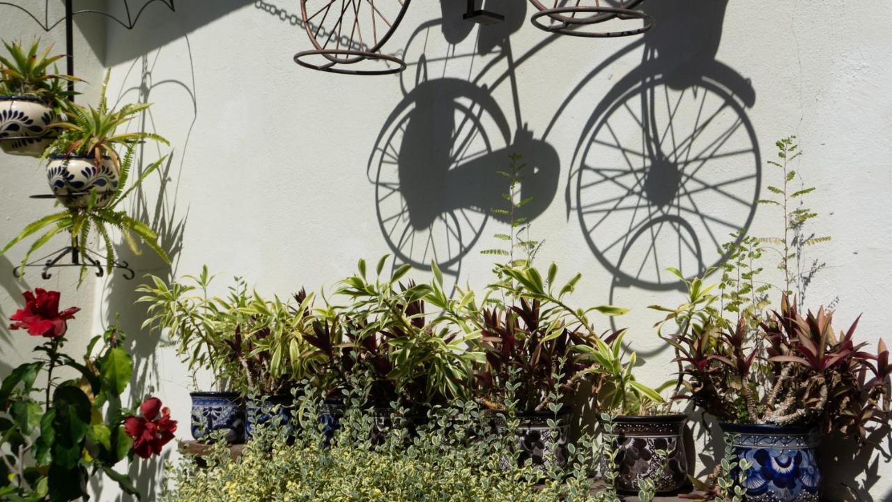 El Jardin Del Eden B&B Boutique Κουερναβάκα Εξωτερικό φωτογραφία