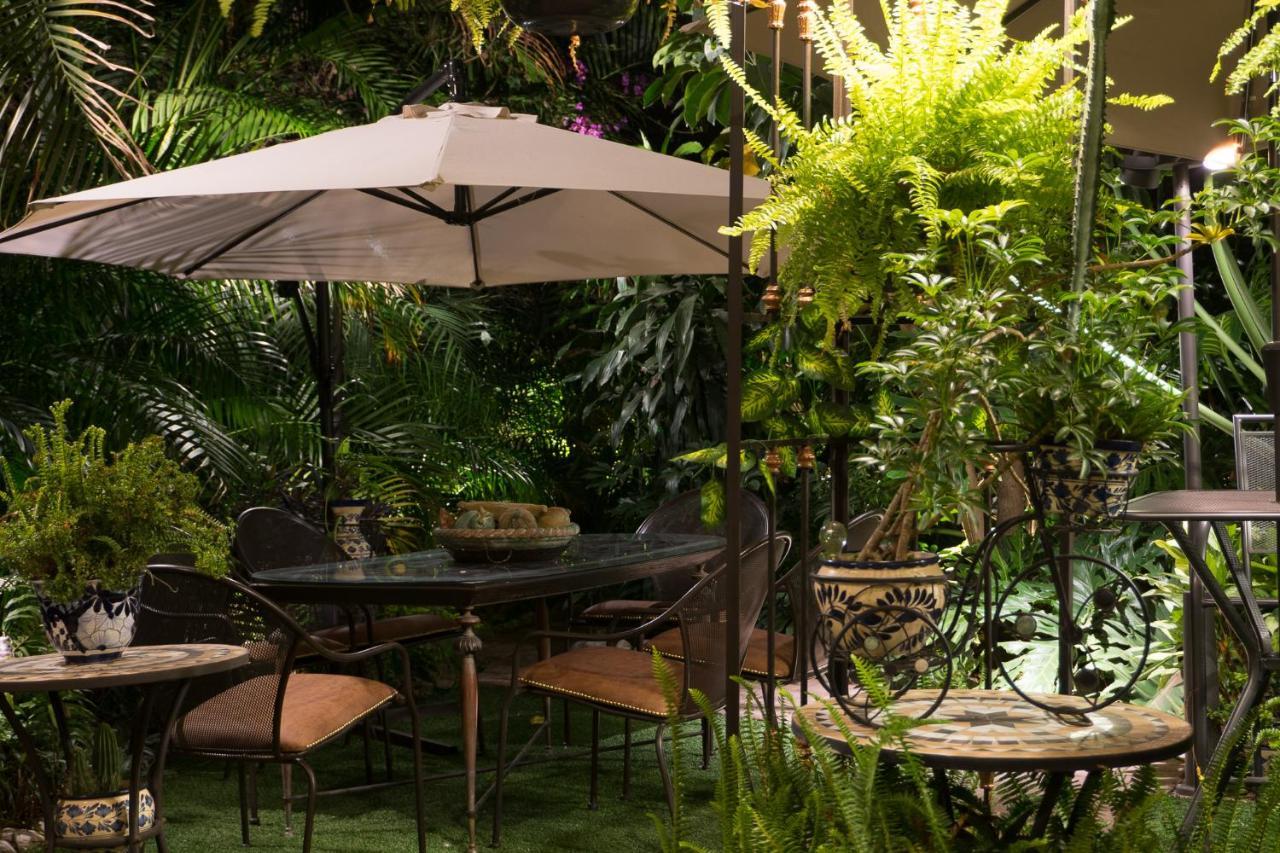 El Jardin Del Eden B&B Boutique Κουερναβάκα Εξωτερικό φωτογραφία