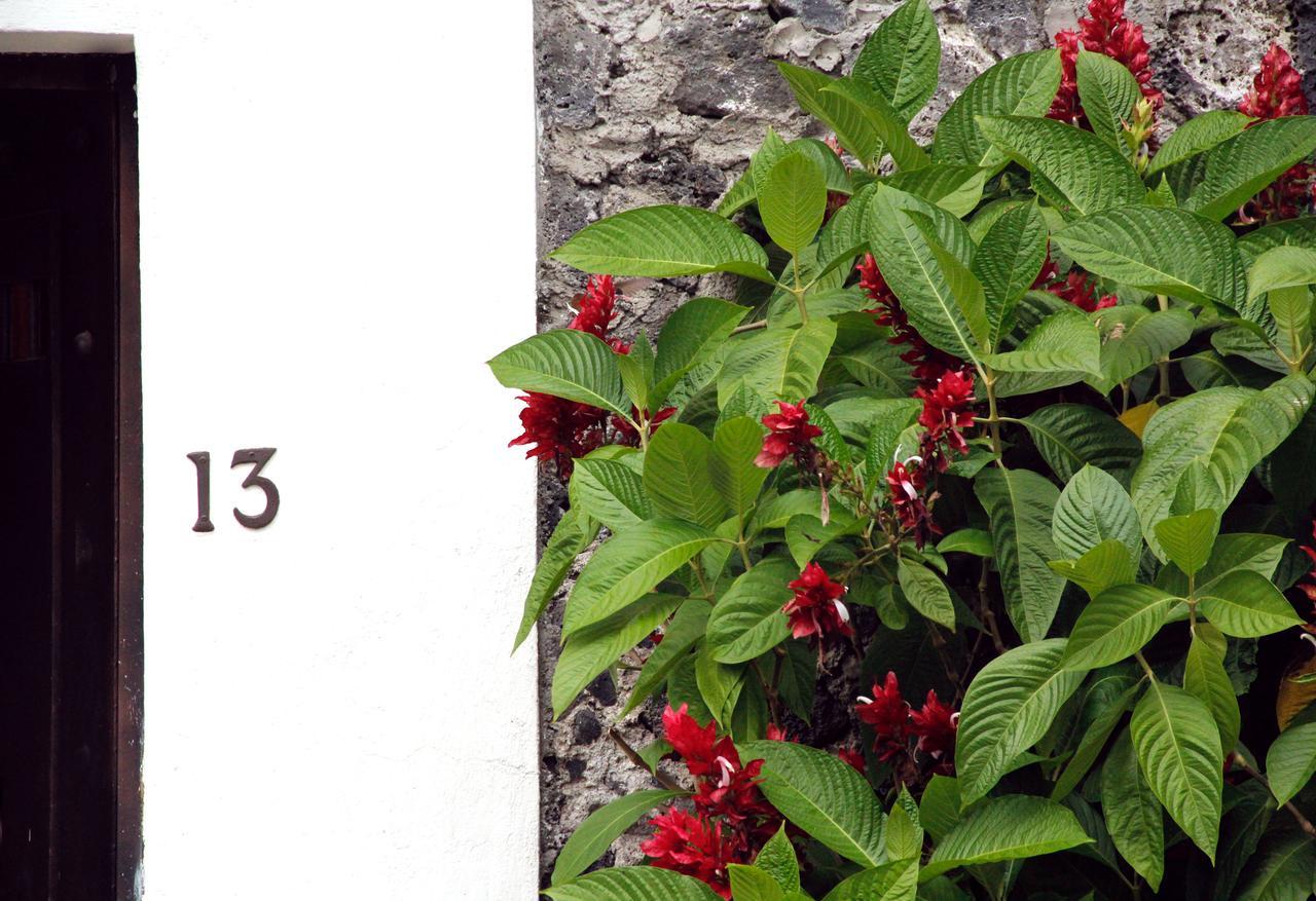 El Jardin Del Eden B&B Boutique Κουερναβάκα Εξωτερικό φωτογραφία
